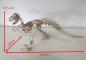 Preview: Velociraptor als 3D Bausatatz aus Holz - Dimension